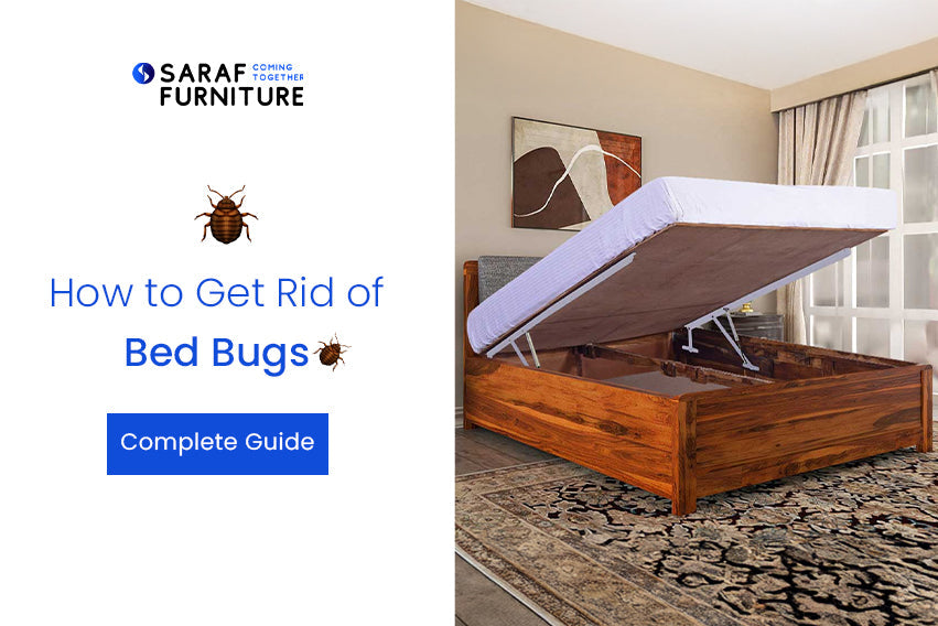 How to Get Rid of Bed Bugs