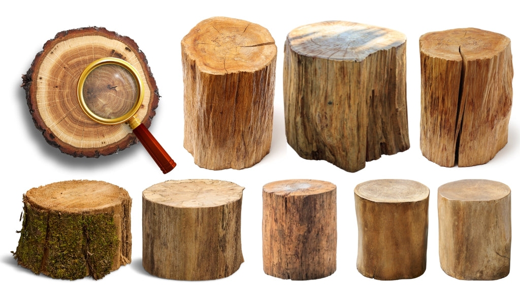 which wood is best for furniture,which type of wood is best for furniture,which wood is best for outdoor furniture,which oil is best for wood furniture,top 10 best wood for furniture,best wood for furniture making,which paint is best for wood furniture