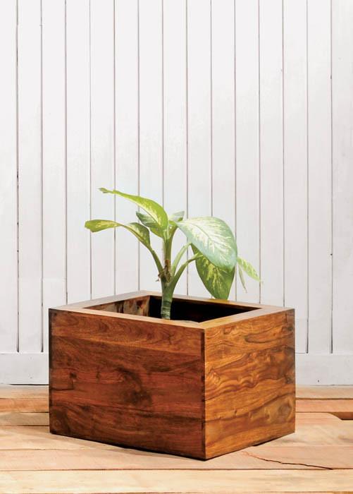 Cube Planter